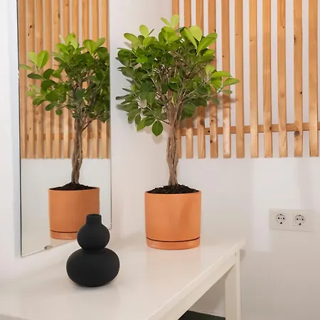 California Dos De Mayo Apartment Seville